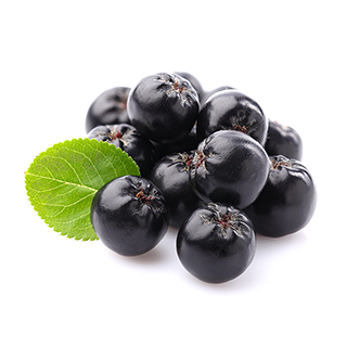 Wpisz tu tekstową alternatywę dla obrazka