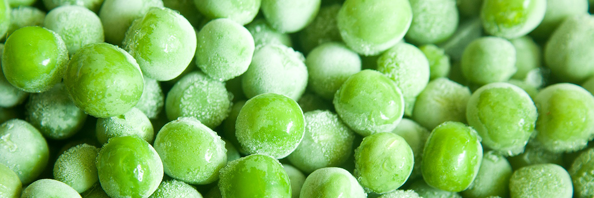 groszek jako źródło białka